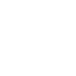 医師による診察